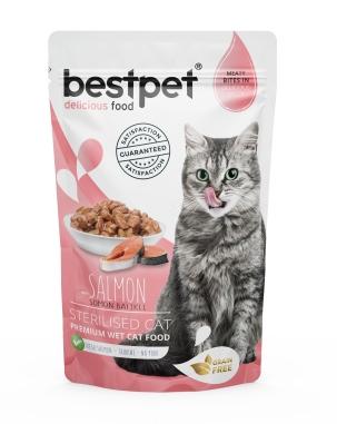 Bestpet Adult Cat Salmon Sterıl In Jelly 85G Pouch 16 Adet